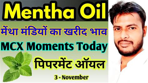 Mentha Oil Rate Today In Uttarakhand In 2023