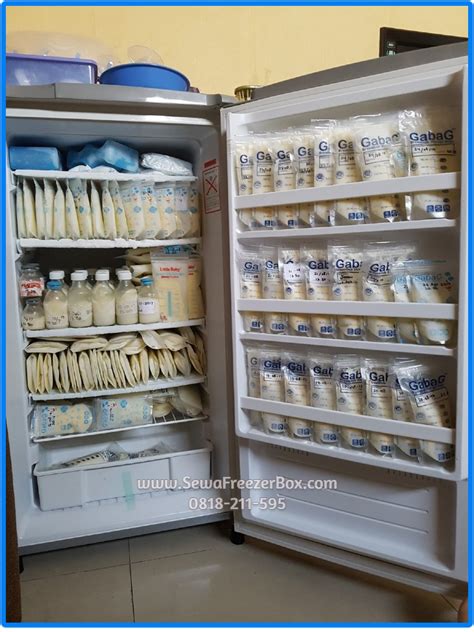 Menyimpan Asi Di Freezer: Panduan Lengkap Untuk Ibu Menyusui