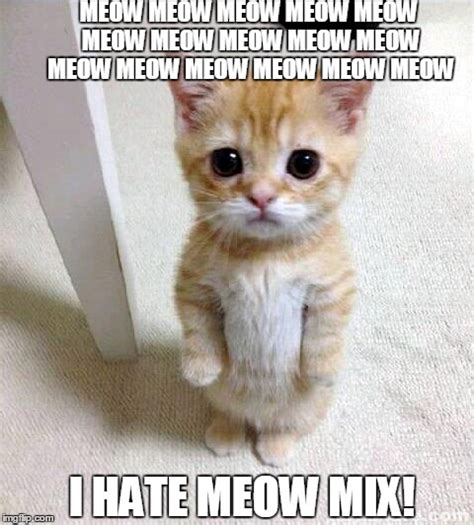 meow meow meow meow meme