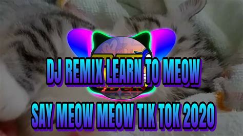 meow meow tik tok song