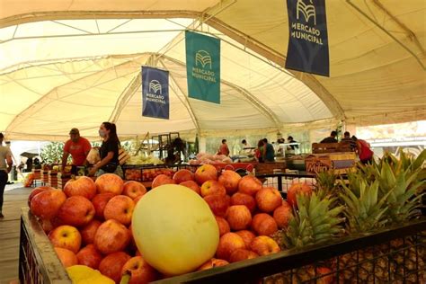 mercado central santa rosa