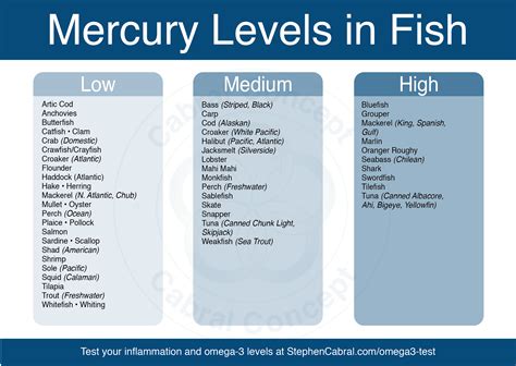Mercury Levels in Fish