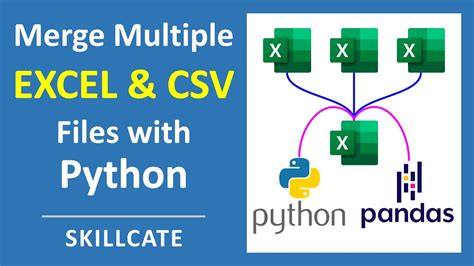 Merge Multiple Xlsx Files Into One Python