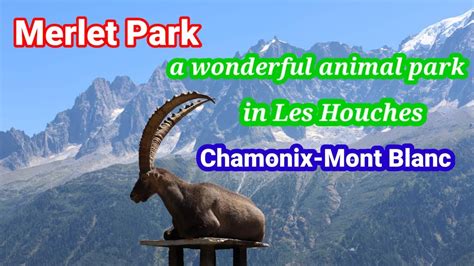 Merlet Animal Park Haute Savoie