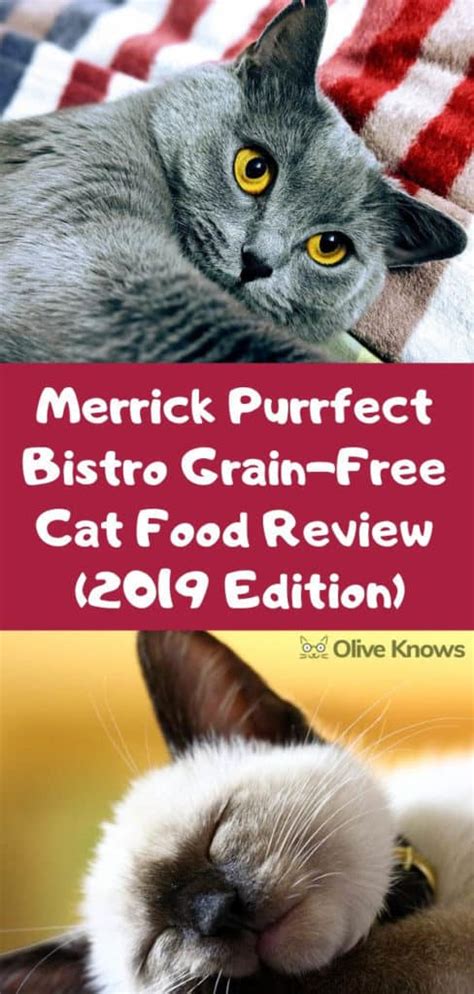 merrick purrfect bistro cat food reviews
