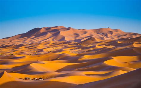 merzouga et les dunes du sahara