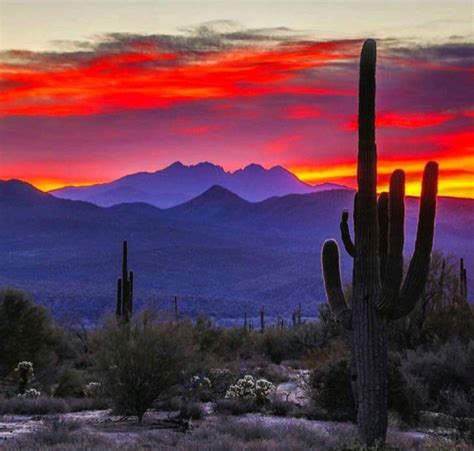 mesa az sunset time