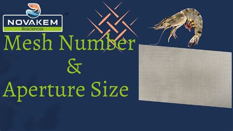 Mesh Number Vs Mesh Size
