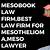 mesobook law firm
