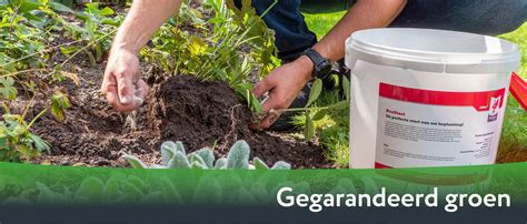 Meststof Voor Borders