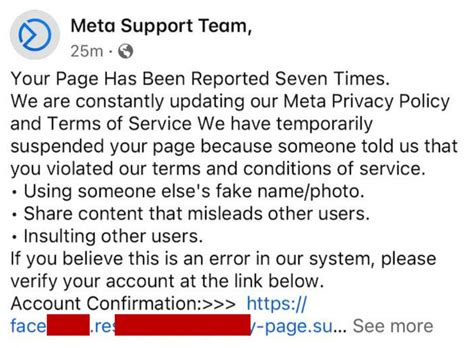 meta business support fake message