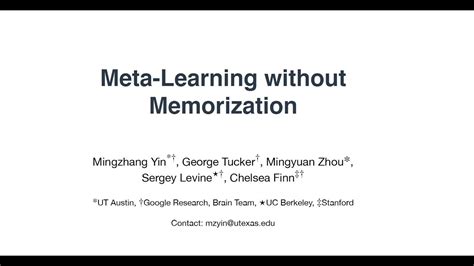 meta learning without memorization