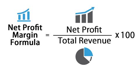 meta net profit margin