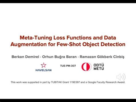 meta-tuning loss functions