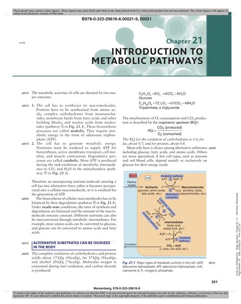 Metabolic Pathway Pdf