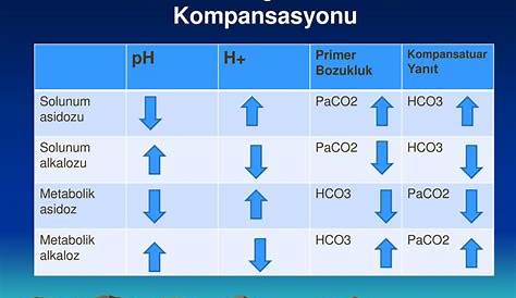 Metabolik Asidozis