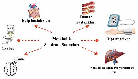 Metabolik Sendrom Komponentleri Haberler Prof. Dr. Ahmet NAYIR Nefroloji Ve Çocuk