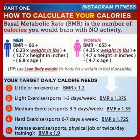 metabolism calculator for weight loss