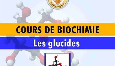 Metabolisme Des Glucides Cours Medecine Pdf Schéma Général Du Métabolisme