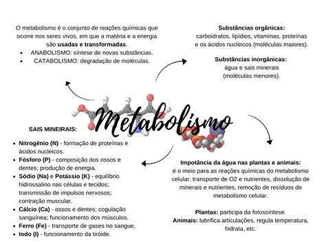 metabolismo celular resumo