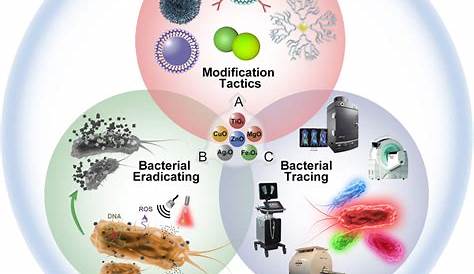 NanoparticleBased Antimicrobials Surface Functionality