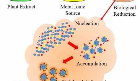 Metal Oxide Nanoparticles In Organic Solvents Synthesis Formation Assembly And Application