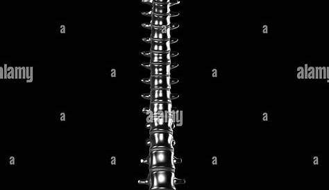 Metal spine stock illustration. Illustration of human