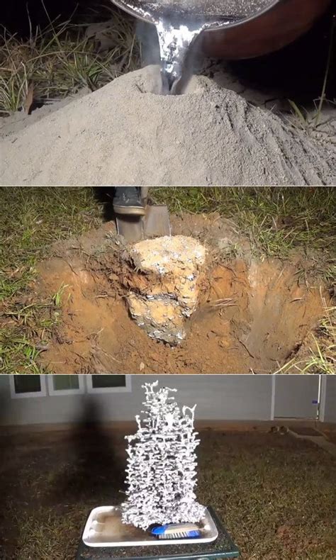 metal ant hill casting how to