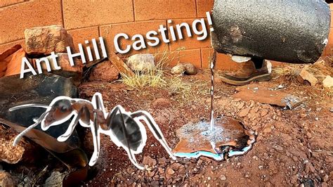 metal ant hill casting kit