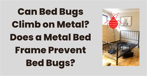 Metal Bed Frame Prevent Bed Bugs