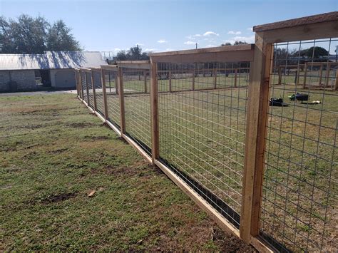 metal cattle panel fence
