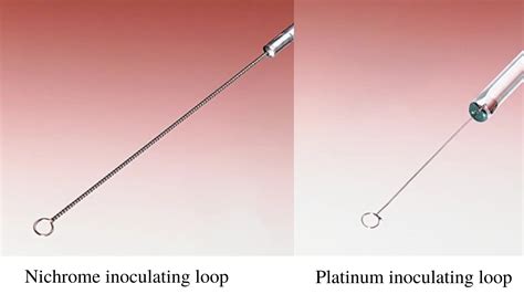 metal inoculating loops