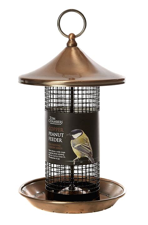 metal peanut feeders for birds