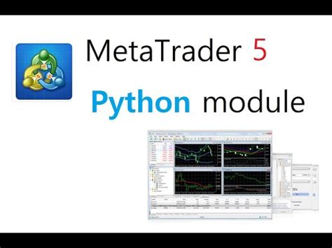 metatrader 5 python login