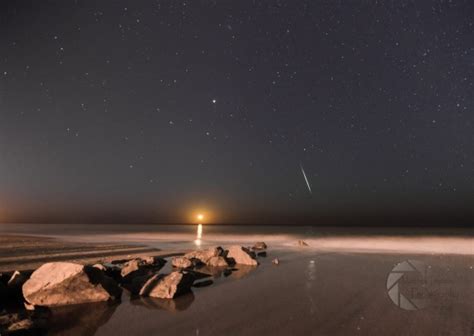 meteor shower tonight myrtle beach