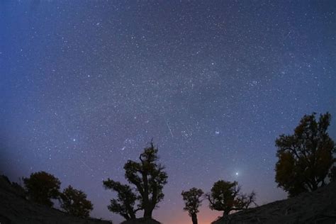 meteor shower tonight north georgia