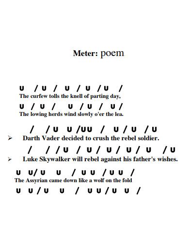 meter checker poetry
