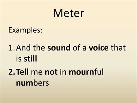 Meter Examples In Sentence