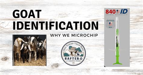 Method Of Goat Identification