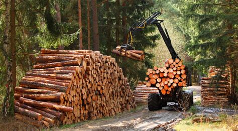 Methods Of Harvesting Timber
