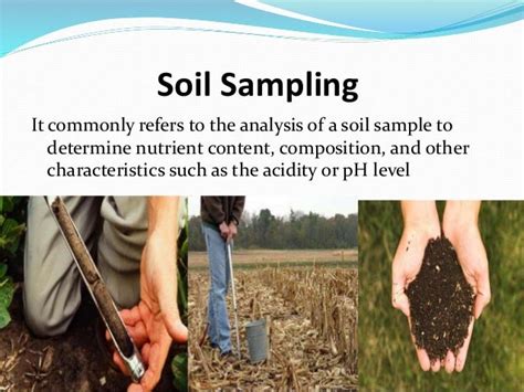 methods of soil sampling ppt