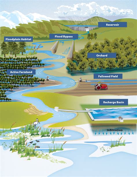 5 Ways Watershed Management