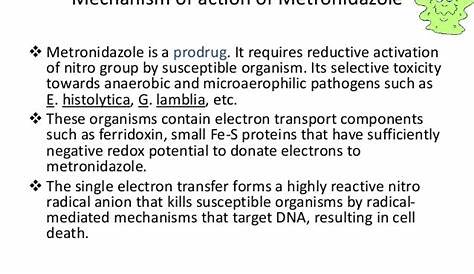 Metronidazole Mechanism Of Action Pdf The Role Human Cytochrome P450 Enzymes In The Formation