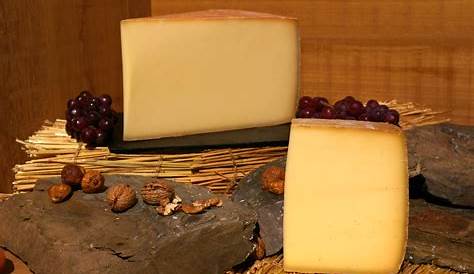 10 faits rigolos sur le fromage illustrés en gifs Grazia