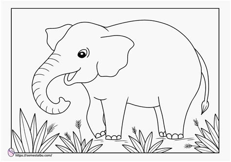Mewarnai Gambar Gajah: Tips Dan Trik Untuk Menghidupkan Imajinasi Anak Anda