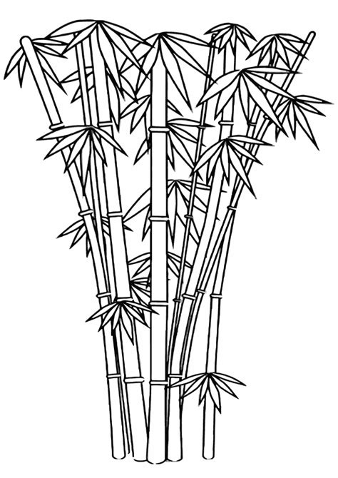 How To Color A Bamboo Tree Picture