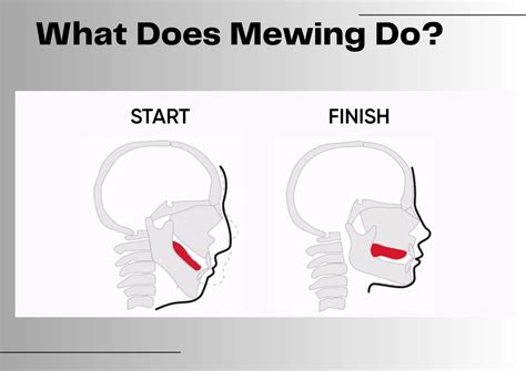 mewing definition slang