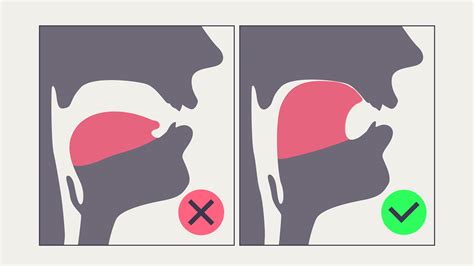 mewing tongue position diagram