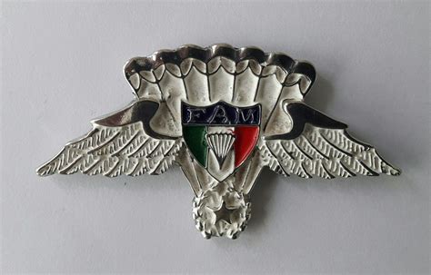 mexican army jump wings