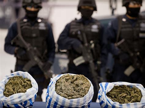 mexican cartels weed vice news